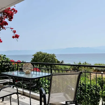 Bousounis * 크라니