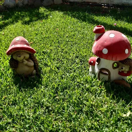 Bousounis 아파트 크라니