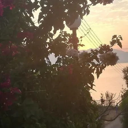 Bousounis 아파트 크라니