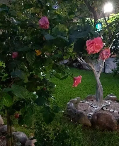 Apartamento Bousounis Chrani