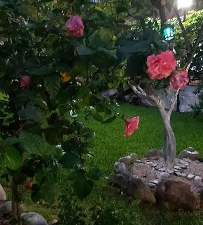 Apartamento Bousounis Chrani